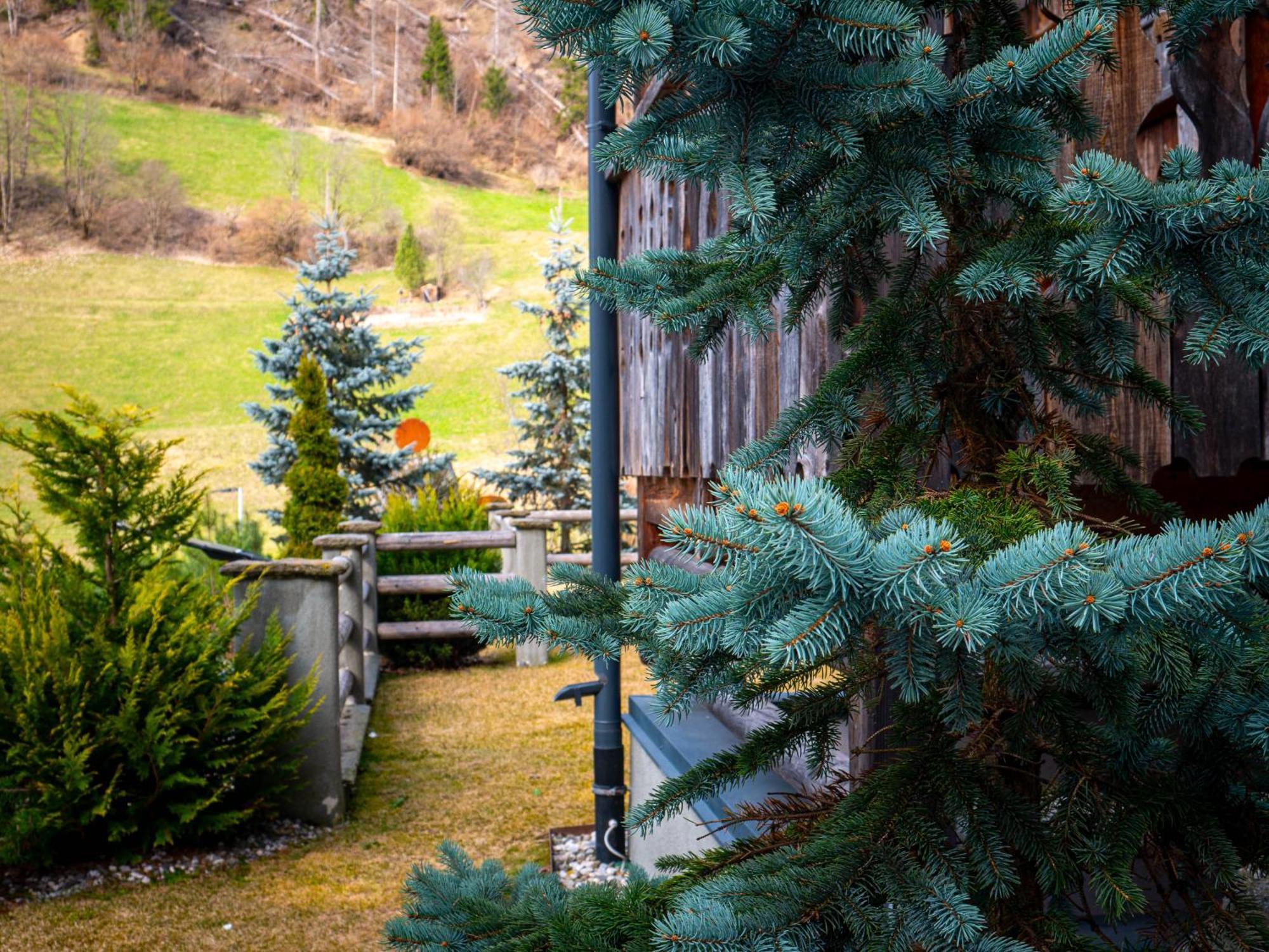 Alpine Mountain Chalet Сан-Віджиліо-ді-Мареббе Екстер'єр фото